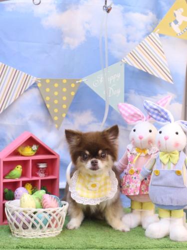 20240312エリザベスちゃん